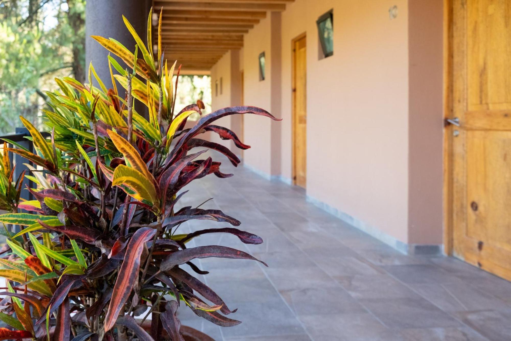 Zirahuen Forest&Resort Exterior foto