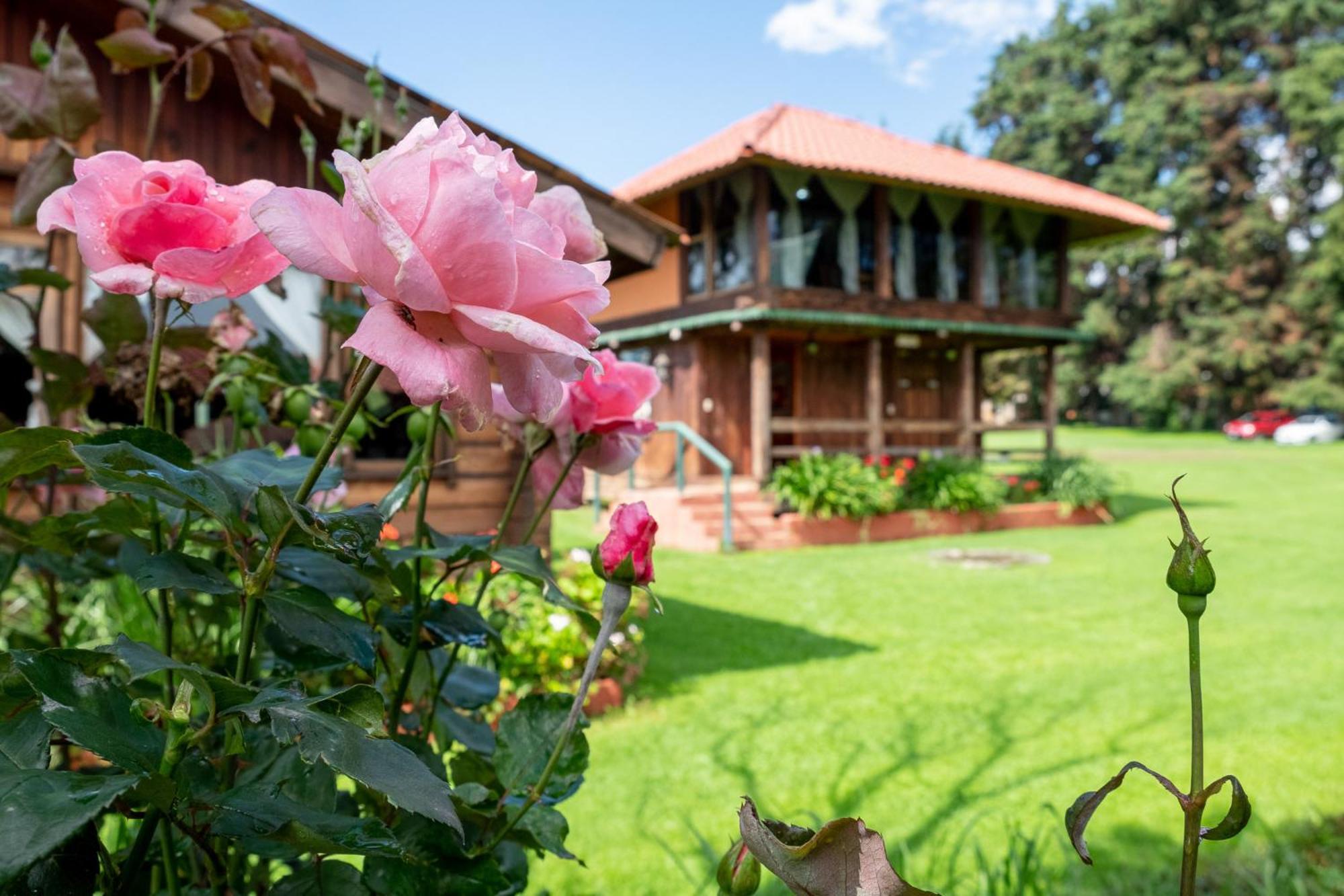 Zirahuen Forest&Resort Exterior foto